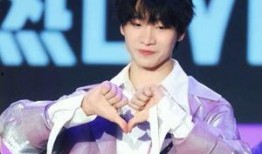 周子杰爆料连淮伟视频,揭秘背后惊人内幕